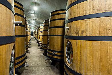 《GTA6》新截图疑似泄露 比基尼美女太性感了！